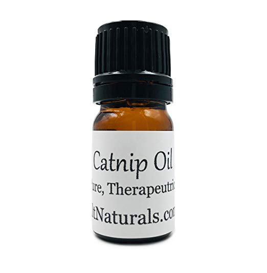 Premium 100% Pure Catnip Essential Oil - 5ml