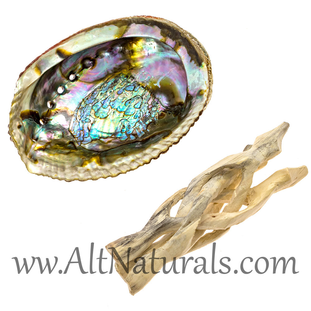 5"+ Hand-selected Premium Abalone Shell with 6" Wooden Cobra Stand