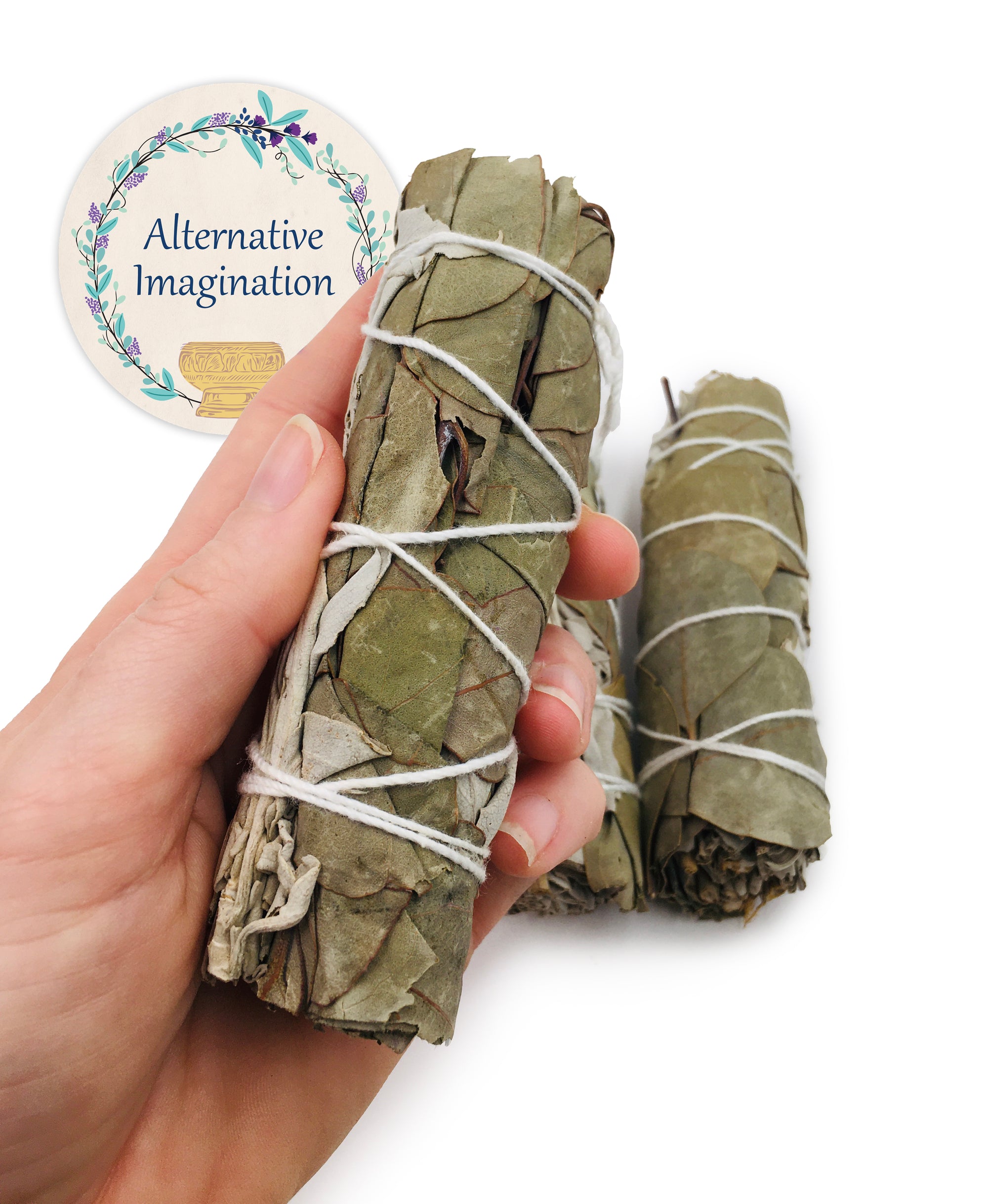 Silver Dollar Eucalyptus + White Sage Incense Wands (Pack of 3)