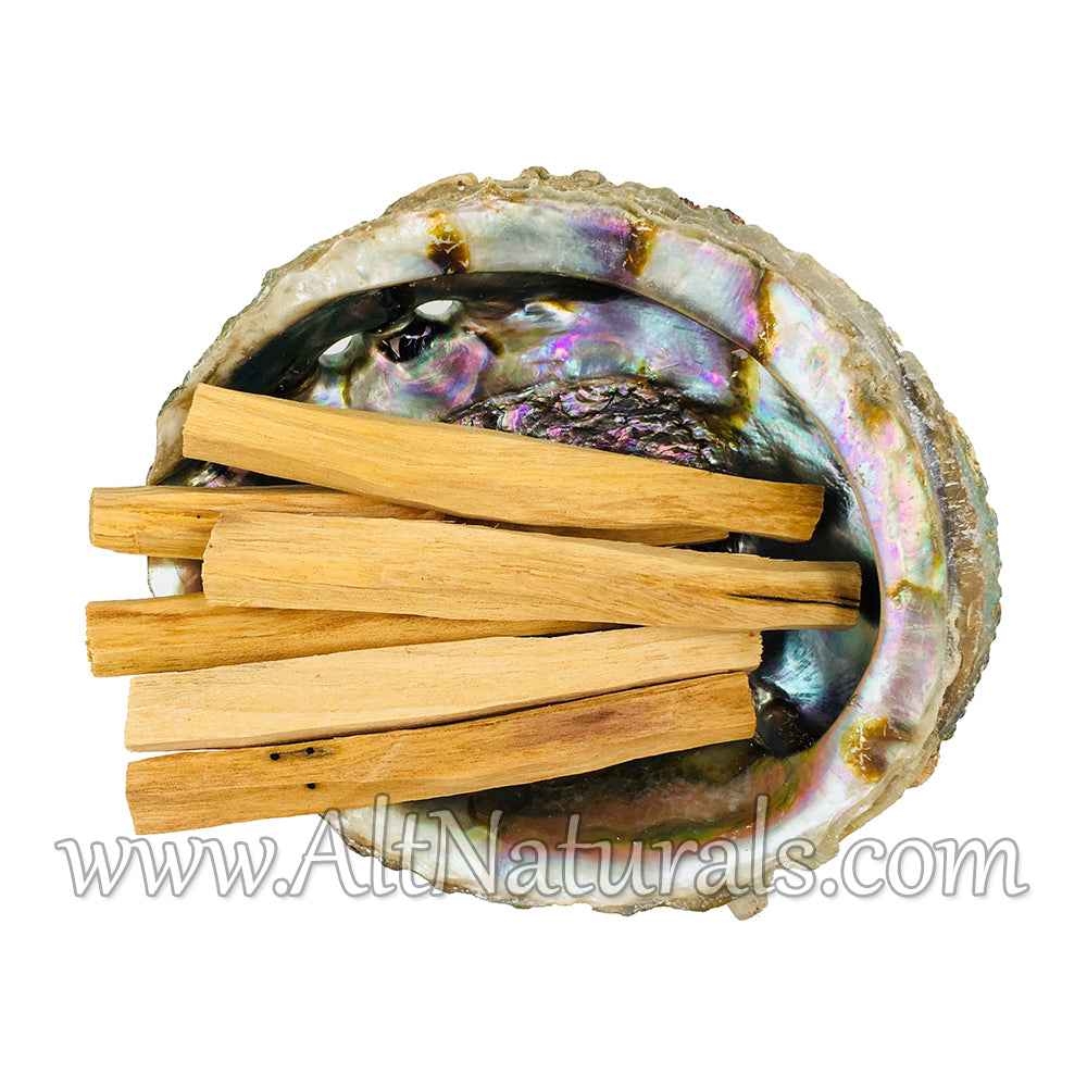 Abalone Shell with Natural Wooden Tripod Stand and 6 Palo Santo Sticks