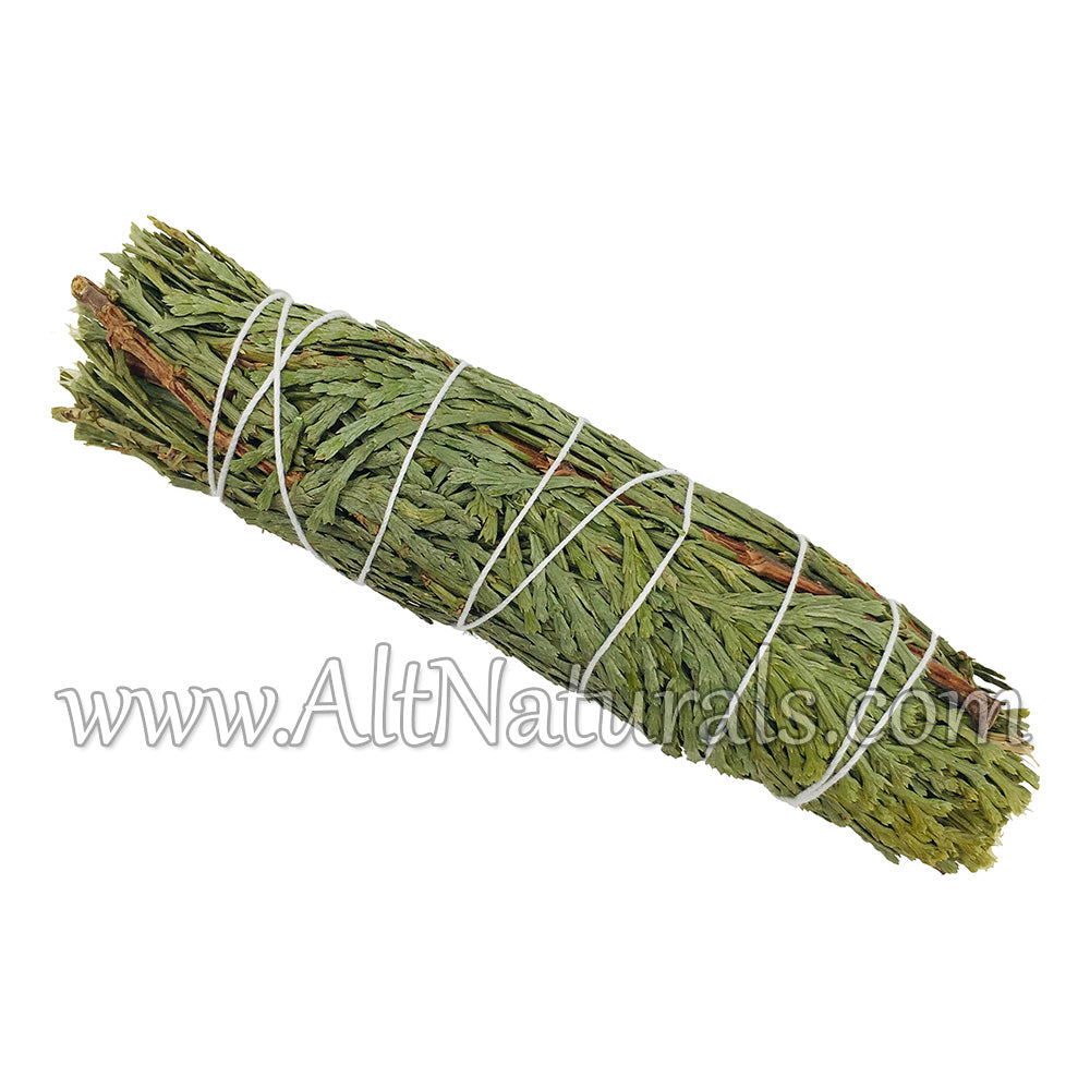 Cedar Incense Bundle (Pack of 3)