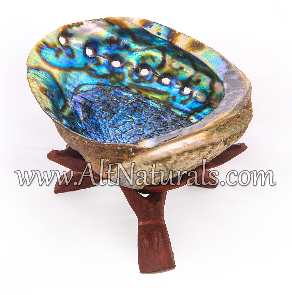 5"+ Hand-selected Premium Abalone Shell with 6" Wooden Cobra Stand