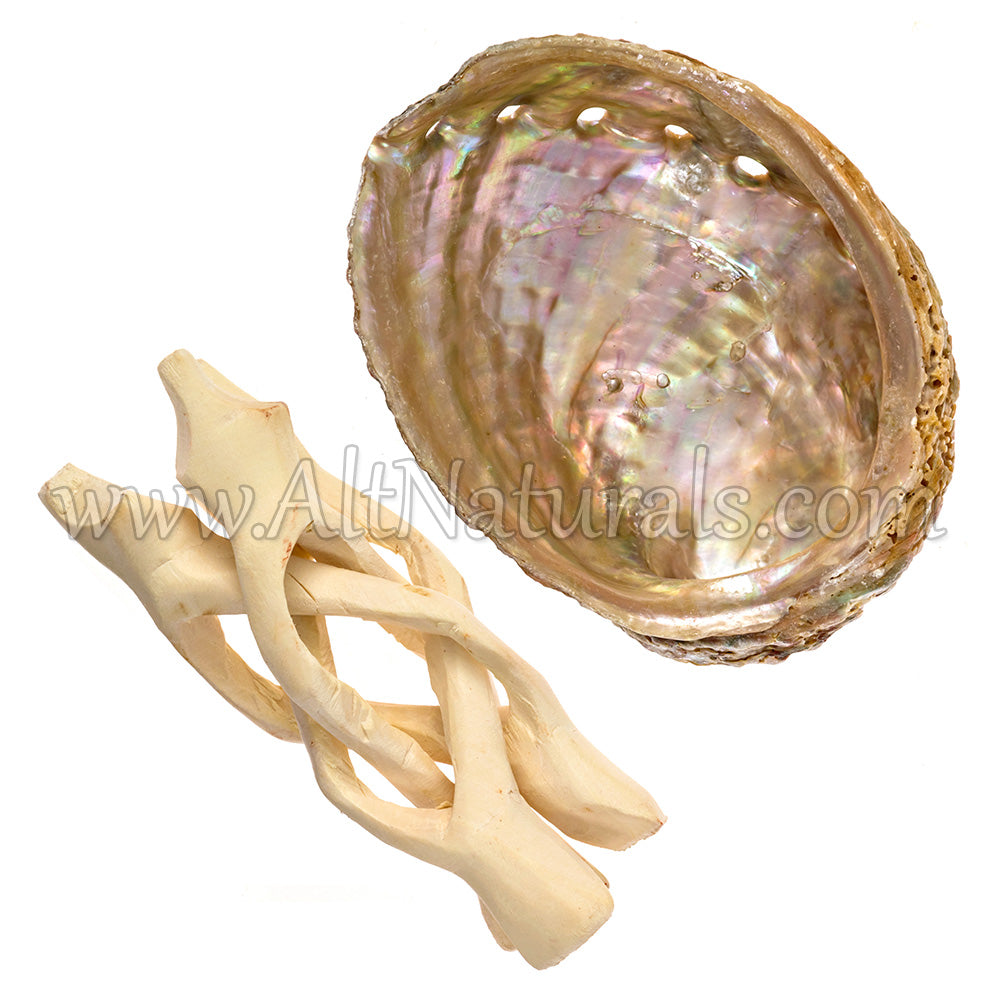 4" Mini Hand-selected Premium Abalone Shell with 4" Wooden Cobra Stand