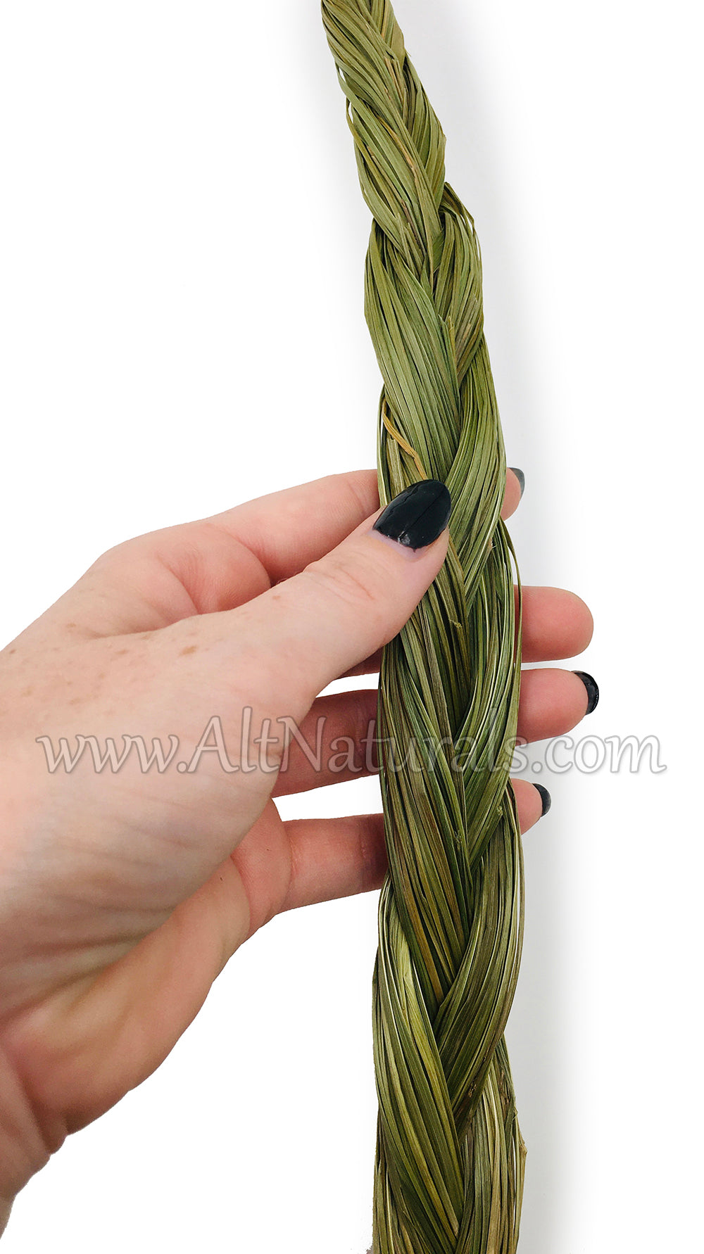 XL Sweetgrass 24 Braid, Natural Sweetgrass, Braided Sweetgrass – Moon  Mountain Gems